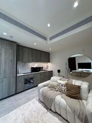 Leedon Green (D10), Condominium #549273231
